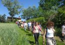 “Camminare il Monferrato”: domenica 21 aprile appuntamento a Moncestino