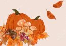 Sacro Cuore International School: lunedì 26 ottobre la Festa d’Autunno