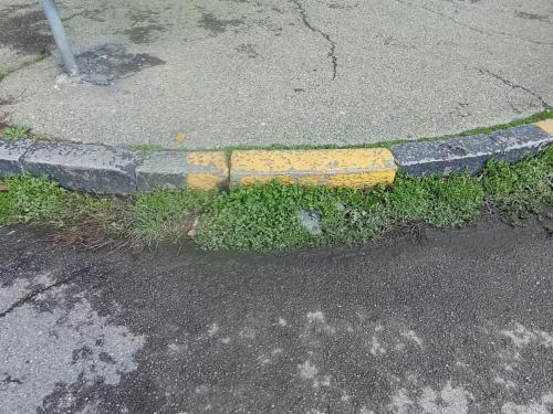 420525b8-26a7-4ca5-b9f0-c827f7c438c0